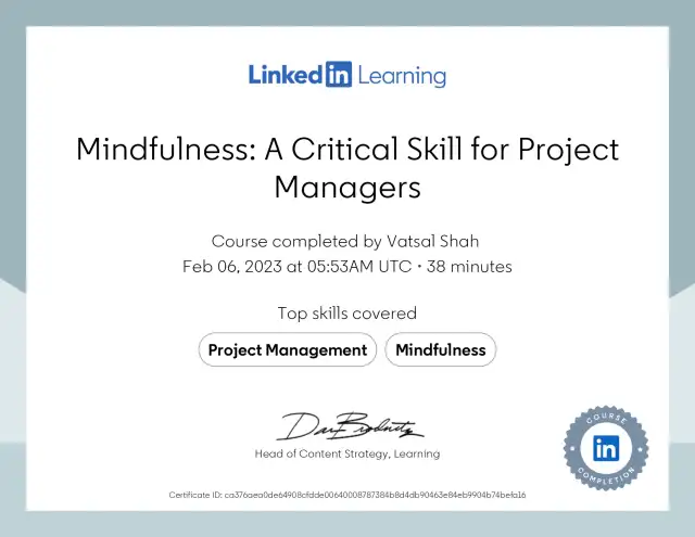 Mindfulness: A Critical Skill for Project Managers