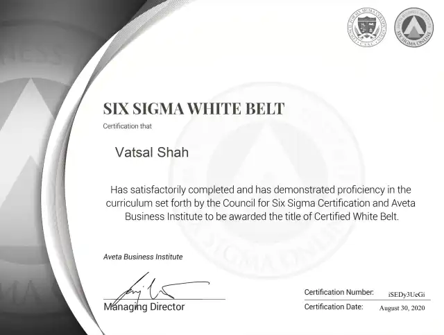 Six Sigma White Belt