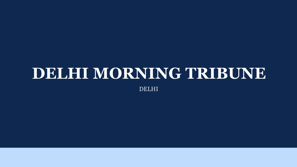 Delhi Morning Tribune on Architecture a Brief Can Defend