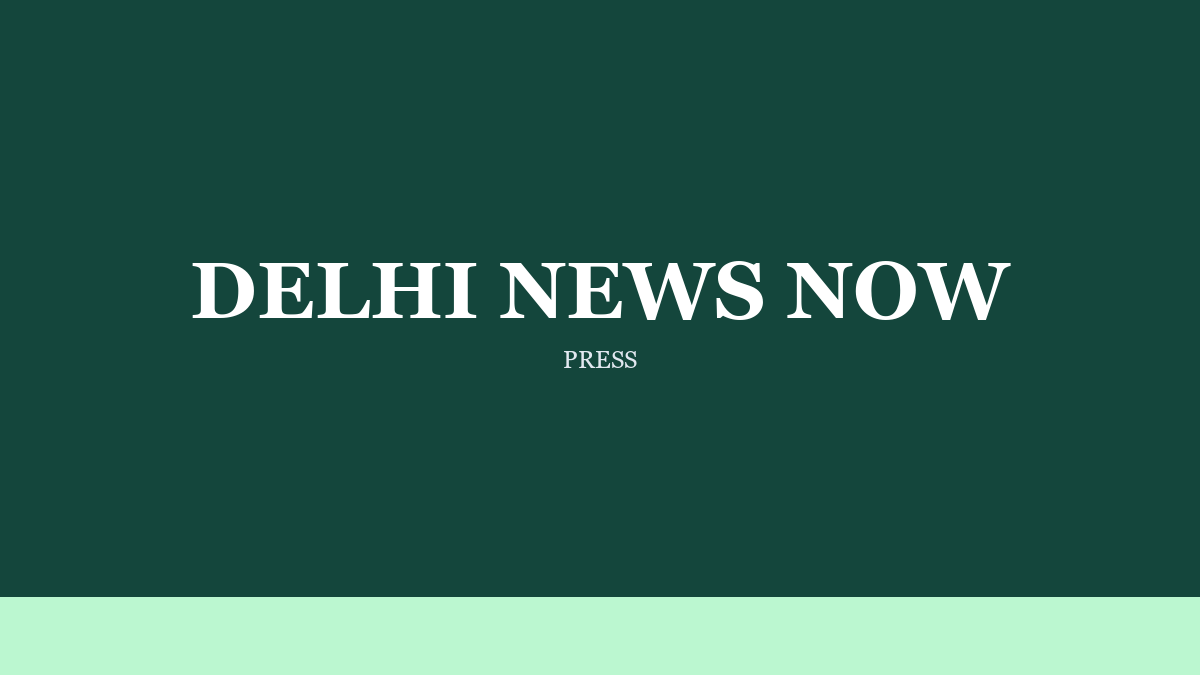 Delhi News Now on Who Owns the System After Launch
