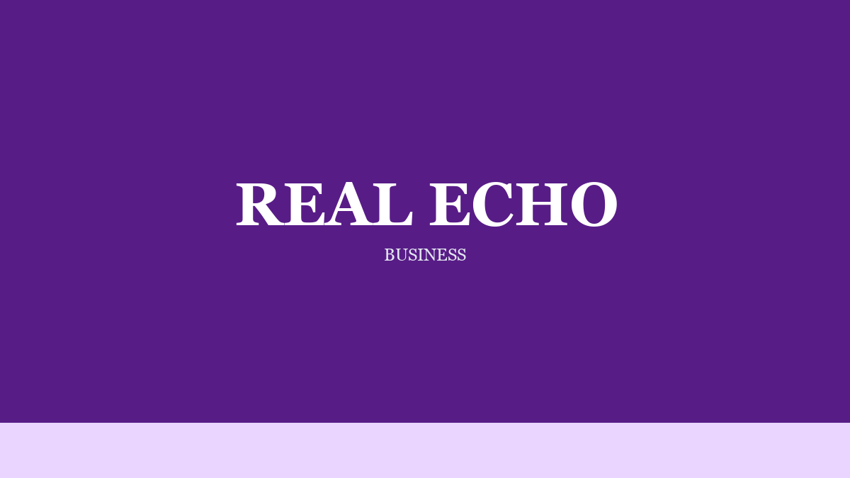 Real Echo on Governance Around the Build
